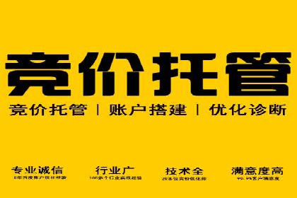 百度竞价投放技巧：行业领先企业的成功策略案例